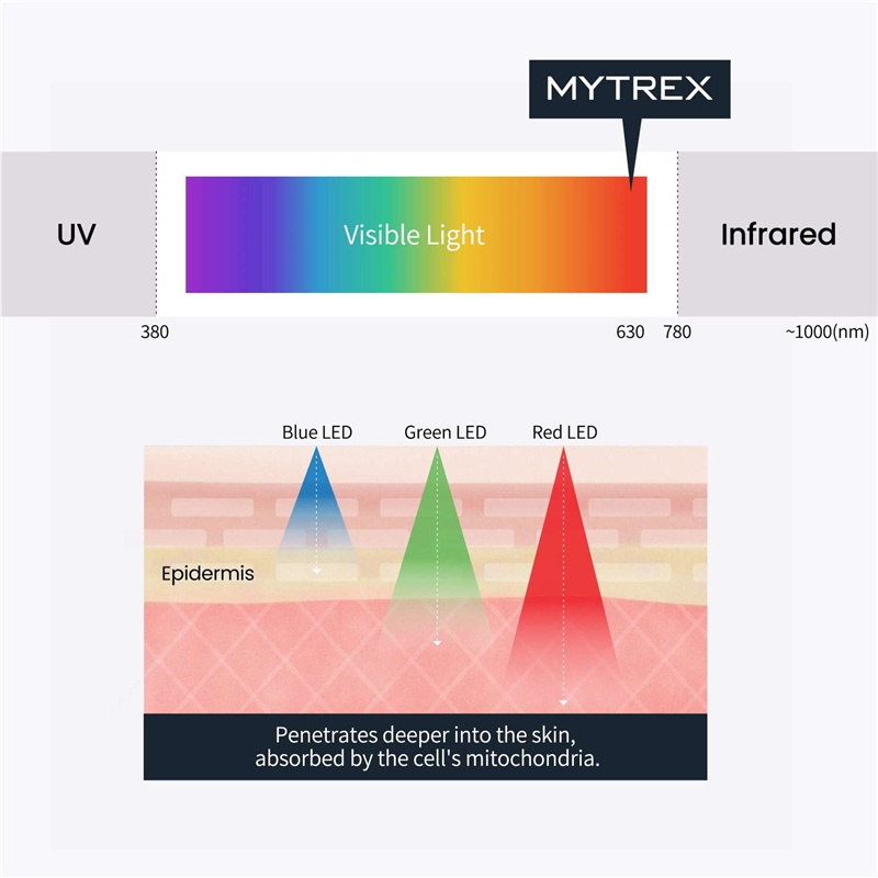 Mytrex Head Spa Pro Masajeador facial y capilar con EMS que estimula el crecimiento del cabello